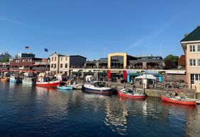 Rostock: Unveiling Hidden Gems Audio Tour