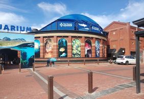 Cape Town: V&A Waterfront Heritage Audio Tour