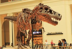 Chicago: Field Museum Ticket & Audio Tour