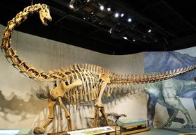 Denver: Museum of Nature and Science Ticket & Audio Tour