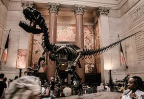 New York City: American Museum of Natural History Audio Tour