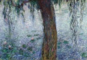 Paris: Musee de l'Orangerie Audio Tour