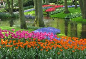 Keukenhof: Entry Ticket