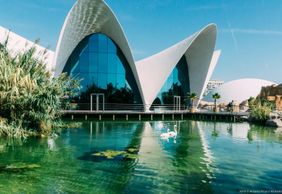 Oceanogràfic de Valencia: Entry Ticket