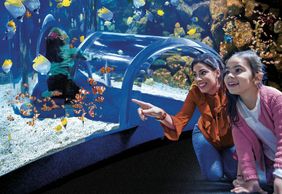 Poema del Mar - Aquarium Gran Canaria: Skip The Line Ticket