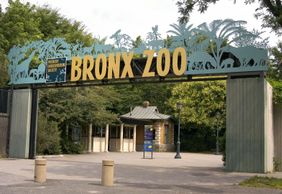 Bronx Zoo: Entry Ticket