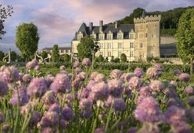 Château de Villandry: Entry Ticket