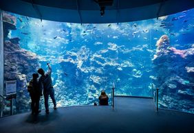 California Academy of Sciences: Entry Ticket