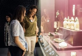 Musée des Confluences: Entry Ticket