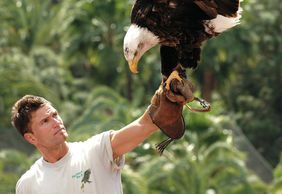 Palmitos Park: Entry Ticket