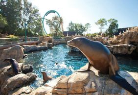 SeaWorld Orlando: Entry Ticket with Optional Quick Queue