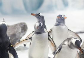 SEA LIFE Konstanz: Entry Ticket