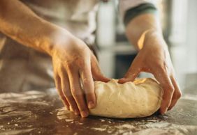 Aquarium of Genoa: Entry Ticket + Focaccia Tasting