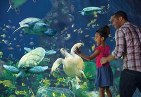 SeaWorld San Diego: Fast Track Ticket