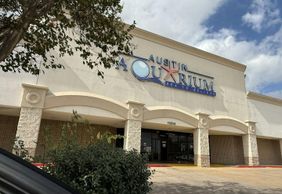 Austin Aquarium: Entry Ticket