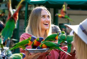 Currumbin Wildlife Sanctuary: Entry Ticket