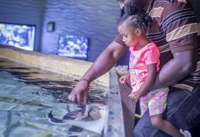 San Antonio Aquarium: Entry Ticket