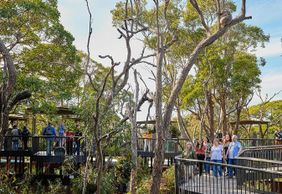 Taronga Zoo Sydney: Entry Ticket + Return Ferry