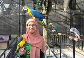 G2G Animal Garden: Entry Ticket