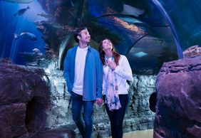 SEA LIFE Orlando & Madame Tussauds: Entry Ticket + Digital Photo