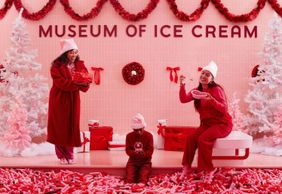 Ice Cream Museum Austin: Entry Ticket