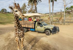 San Diego Zoo Safari Park: Entry Ticket