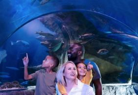 SEA LIFE Arizona: Entry Ticket