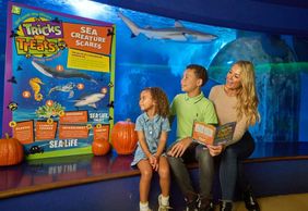SEA LIFE Aquarium at American Dream: General Admission