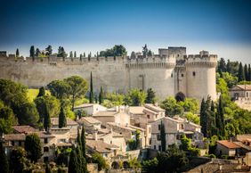 Fort Saint-André: Entry Ticket