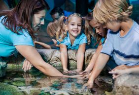 SEA LIFE Manchester: Entry Ticket