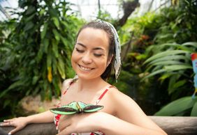 Australian Butterfly Sanctuary: Entry Ticket