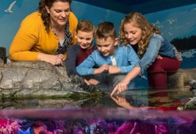 SEA LIFE Charlotte-Concord: Entry Ticket