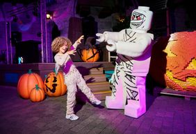 LEGOLAND® Discovery Center Chicago: Entry Ticket