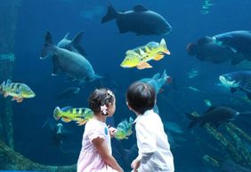 Aquaria Phuket: Entry Ticket