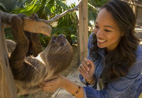Wild Florida Gator Park Admission