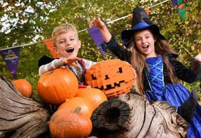 LEGOLAND® Discovery Center Westchester: Entry Ticket