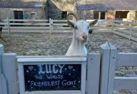 Newbridge Heritage Farm: Entry Ticket