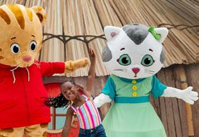 Dutch Wonderland: Entry Ticket