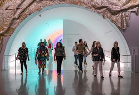 The Museum of Fine Arts, Houston: ALL ACCESS Ticket