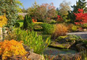 RHS Garden Harlow Carr: Entry Ticket