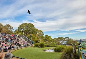 Taronga Zoo Sydney: Entry Ticket