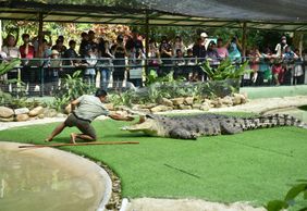 Crocodile Adventureland Langkawi: Entry Ticket