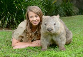 Australia Zoo: Entrance + Transfer from Brisbane