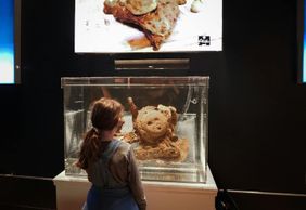 Real Pirates Salem: Entry Ticket