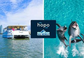 Sea World: Entry Ticket + Hopo Ferry