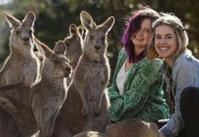 Symbio Wildlife Park: Entry Ticket