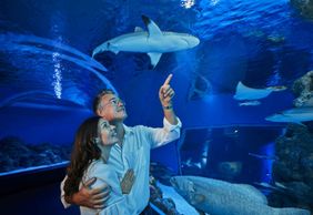 Cairns Aquarium: Night Entry + 2-Course Dinner