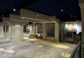 Domus dei Tappeti di Pietra: Entry Ticket