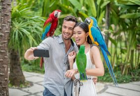 Bali Bird Park: Entry Ticket