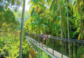 Tamborine Rainforest Skywalk: Entry Ticket